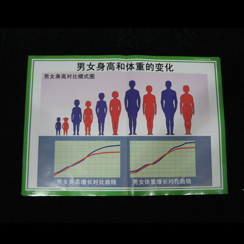 53009健康地生活.jpg 53009健康地生活.jpg