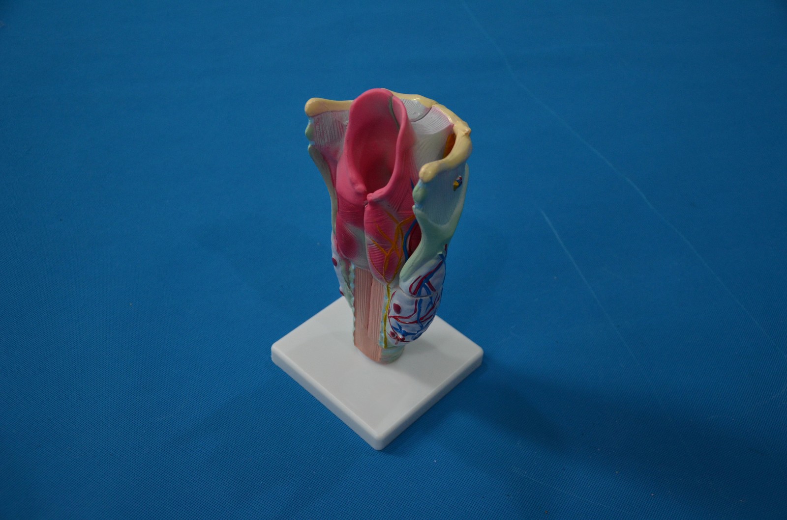 33209.JPG 33209.JPG